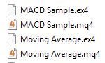 带有 .ex4 及 .mq4 扩展名的 MetaTrader 4 文件